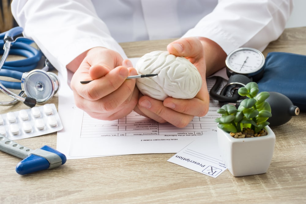 doctor pointing to cross section of the brain